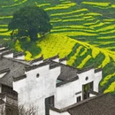 上饶旅游 缩略图 8