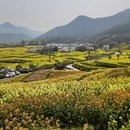 黄山旅游 缩略图 1