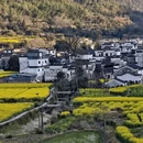黄山旅游 缩略图 5