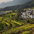 黄山旅游 缩略图 11