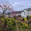 上饶旅游 缩略图 4