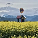 上饶旅游 缩略图 9