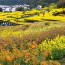 上饶旅游 缩略图 15