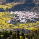 黄山旅游 缩略图 7
