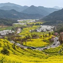 黄山旅游 缩略图 10