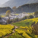 黄山旅游 缩略图 6