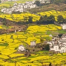 黄山旅游 缩略图 13