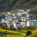 黄山旅游 缩略图 5