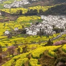 黄山旅游 缩略图 15