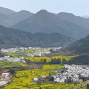 黄山旅游 缩略图 12