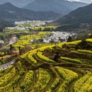 黄山旅游 缩略图 11