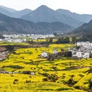 黄山旅游 缩略图 16