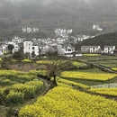 黄山旅游 缩略图 4