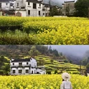 黄山旅游 缩略图 3