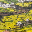 黄山旅游 缩略图 14