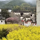 黄山旅游 缩略图 1