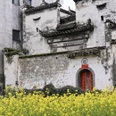 黄山旅游 缩略图 10