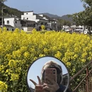 黄山旅游 缩略图 2