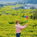 黄山旅游 缩略图 1