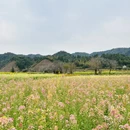 上饶旅游 缩略图 4