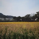 上饶旅游 缩略图 5