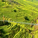 黄山旅游 缩略图 9