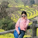 黄山旅游 缩略图 13