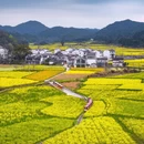 黄山旅游 缩略图 2