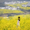 黄山旅游 缩略图 5