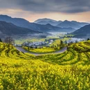 黄山旅游 缩略图 3
