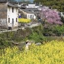 黄山旅游 缩略图 8