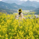 黄山旅游 缩略图 6