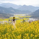 黄山旅游 缩略图 9