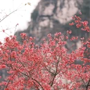 桂林旅游 缩略图 1