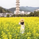 黄山旅游 缩略图 14