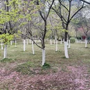 桂林旅游 缩略图 9