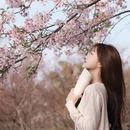 桂林旅游 缩略图 8