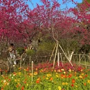 桂林旅游 缩略图 1