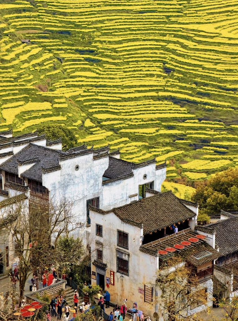 黄山旅游