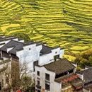 黄山旅游 缩略图 1