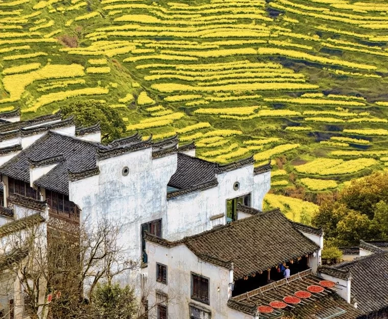 黄山旅游 1
