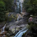 黄山旅游 缩略图 7