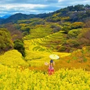 黄山旅游 缩略图 5