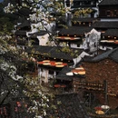 黄山旅游 缩略图 6