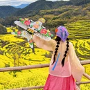 黄山旅游 缩略图 11