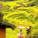 黄山旅游 缩略图 4