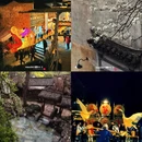 黄山旅游 缩略图 13