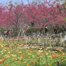 桂林旅游 缩略图 3