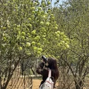 桂林旅游 缩略图 6