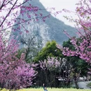 桂林旅游 缩略图 1